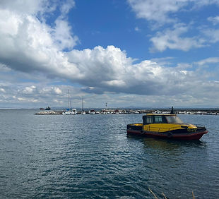 e66238e6-2cea-4f3d-a725-92c8428561ff_edi