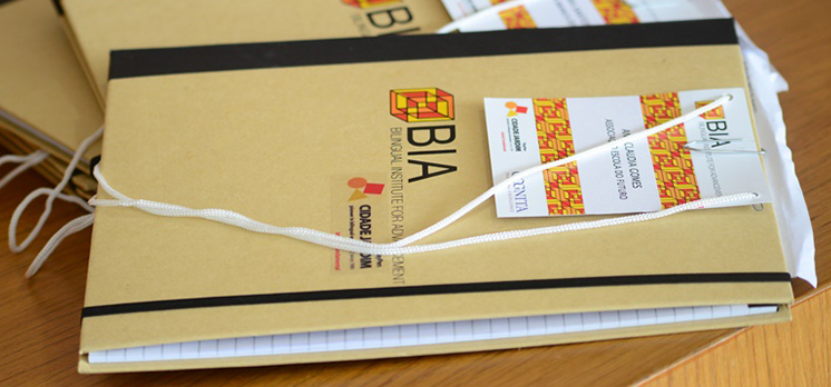 BIA Playpen 2014