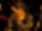 arabian nights-7369_edited.jpg