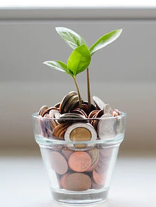 Financial empowerment_edited.jpg