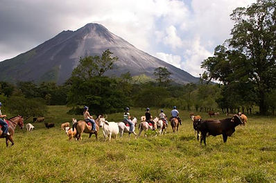 Rana Tours / Volcán Arenal
