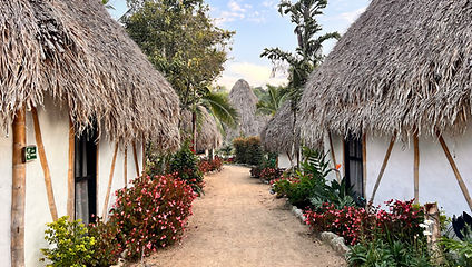 Rana Tours Colombia / Viaje Perlas de Colombia / San Agustín