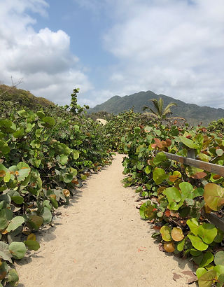 CABO SAN JUAN DEL GUIA / RANA TOURS