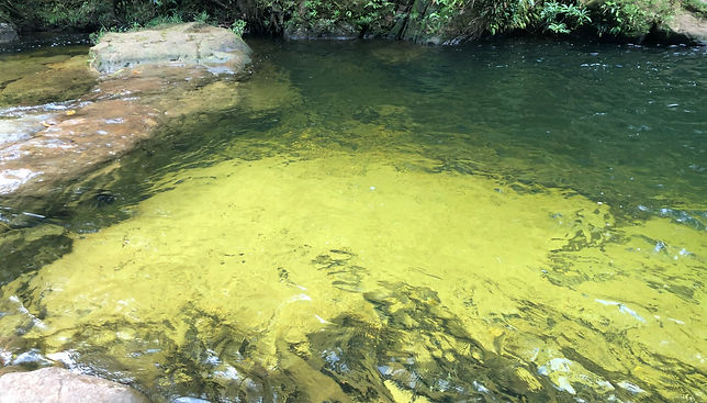 Rana Tours Colombia / Viaje Perlas de Colombia Putumayo / Cascada Fin del Mundo