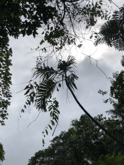 Poznávací zájezd Ekvádor, Galapágy a Amazonie