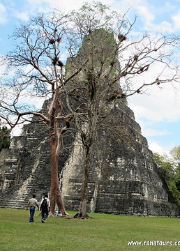 Rana Tours · tour operador en Colombia · viajes a Latinoamérica · salidas programadas · salidas garantizadas · viajes de autor · circuitos culturales · viajes de aventura · viajes en grupos pequeños · viajes a medida · Colombia · Ecuador · Galápagos · México · Guatemala · Costa Rica · Panamá · Chile · Amazonía · Caribe · Andes · naturaleza · cultura · aventura · viajes auténticos · guía en español · guías locales
