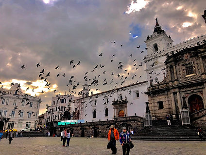 Rana Tours / Viaje a Ecuador, Amazonía & Galápagos garantizado