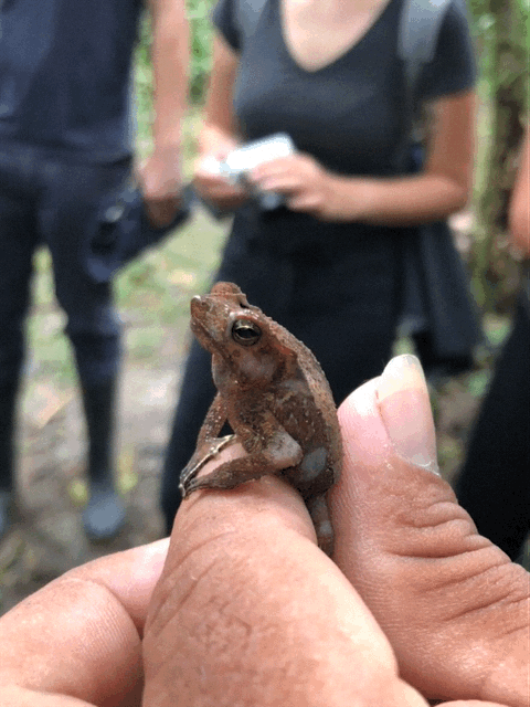 Poznávací zájezd Ekvádor, Galapágy a Amazonie