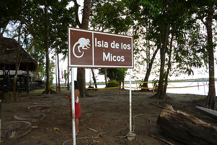 Amazonas / Rana Tours Colombia / Viaje Colombia & Panamá: Aventura