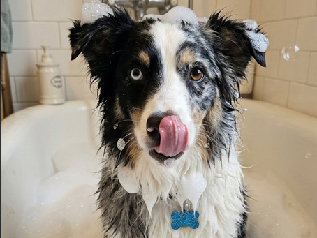 Self-Care: Why You Can't Just "Add to Cart"