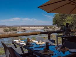 Tau, Madikwe Game Reserve