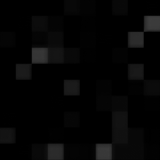grid black_2_1.gif