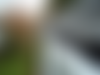 Gotcha Covered Gutter Services in Winston-Salem