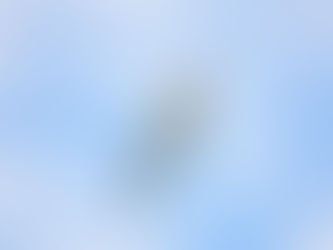 จากบาดแผลสู่สันติภาพ: บทสนทนากับ AI ว่าด้วยการให้อภัย ความรัก ความชังและความเป็นไปได้ที่จะหยุดสงคราม