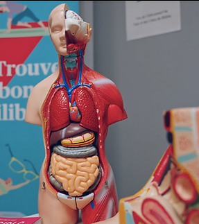 Capture d’écran 2025-12-14 à 19.03.17.png