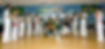 New York Capoeira