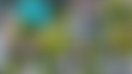 Grounds Maintenance Contract Checklist: What Commercial Sites Should Look For