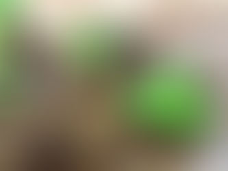 What are the Benefits of Peat-Free Herb Plants?