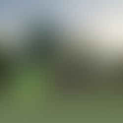 How Insulated Rendering Can Reduce Your Carbon Footprint