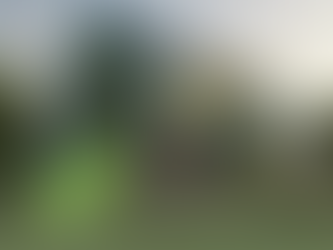 How Insulated Rendering Can Reduce Your Carbon Footprint