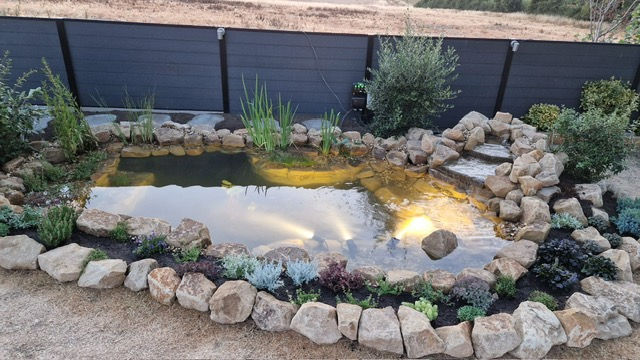 Backyard rock pond with still water, stone border, small waterfall, and green plants beside a dark fence.