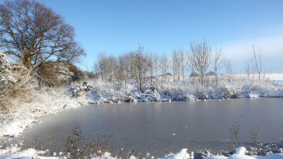 How to Protect a Pond During Freezing Weather