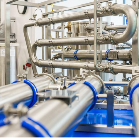 BioMara Hits Scale-Up Milestone for Thalivra Fucoidan at UK Bioprocessing Hub