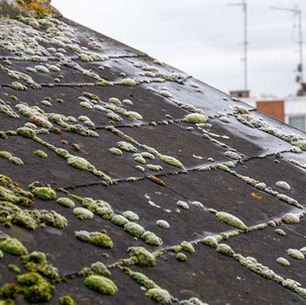 When to Remove Moss From Roof Tiles