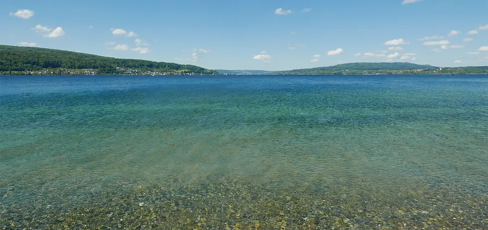 bodensee_rhein.webp