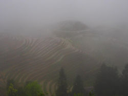 guilin (7)