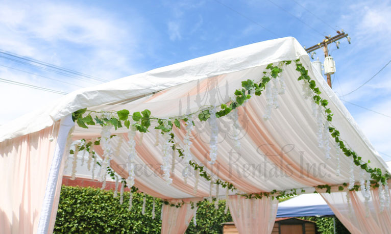 IMG_8432 (1)_edited_edited.jpg