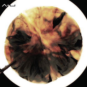 Plush, Installation, 2020, Shift+SpaceDesign&Research, withAyaRiad.jpg