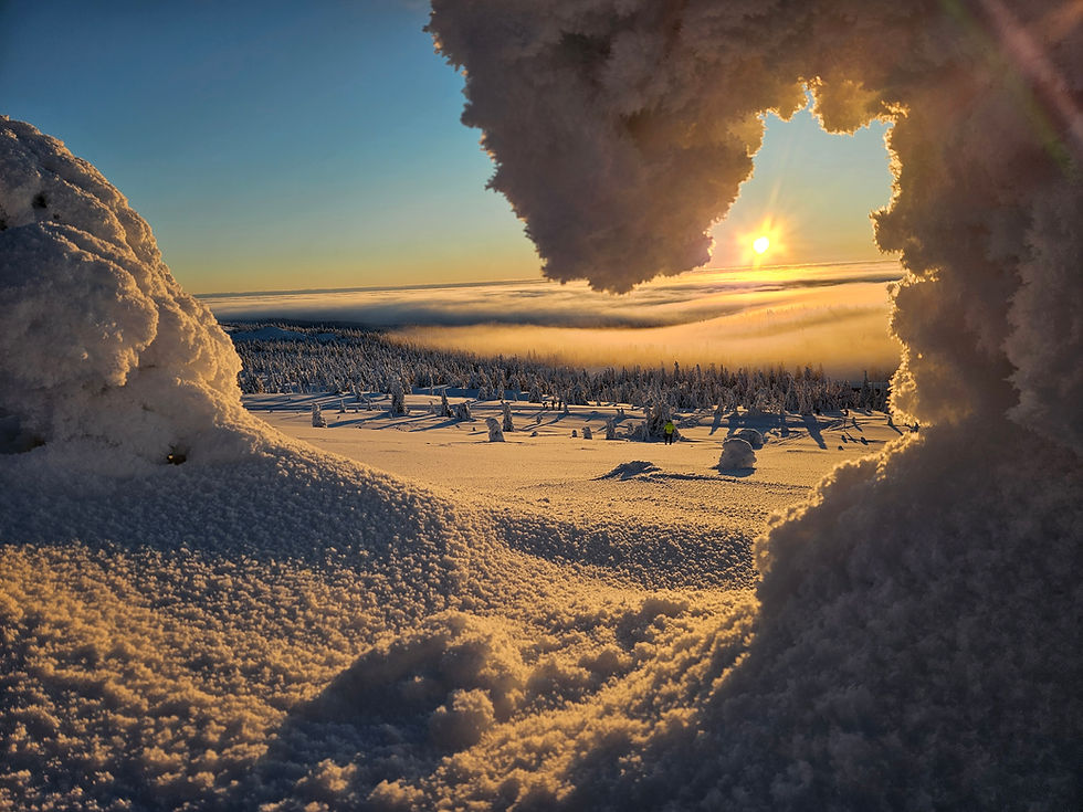 Newsletter - März 2026