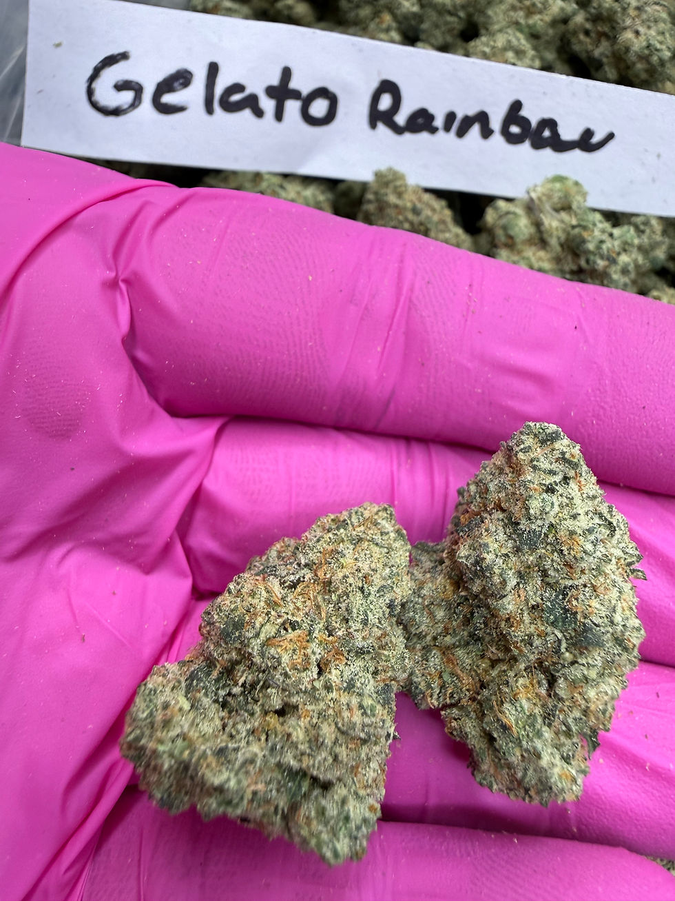 Thumbnail: Gelato Rainbow