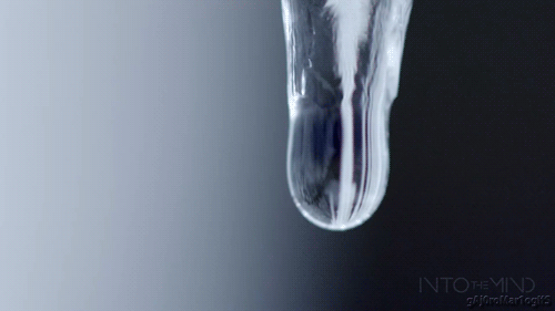 1c4c161f297c2769d82b3045d91d4463.gif