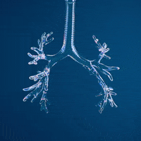 200w-7.gif
