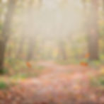 dementia caregiver.jpeg