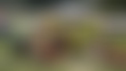 伊江島一周マラソン会場で集合したBTRC沖縄メンバーの集合写真