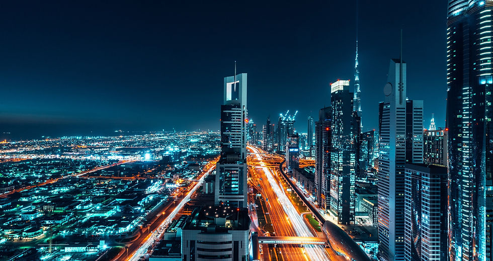 Dubai City View_edited.jpg