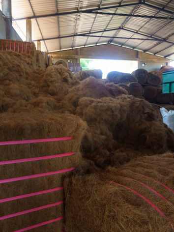 Coir 0168.jpg