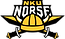 Northern_Kentucky_Norse_logo.svg.png