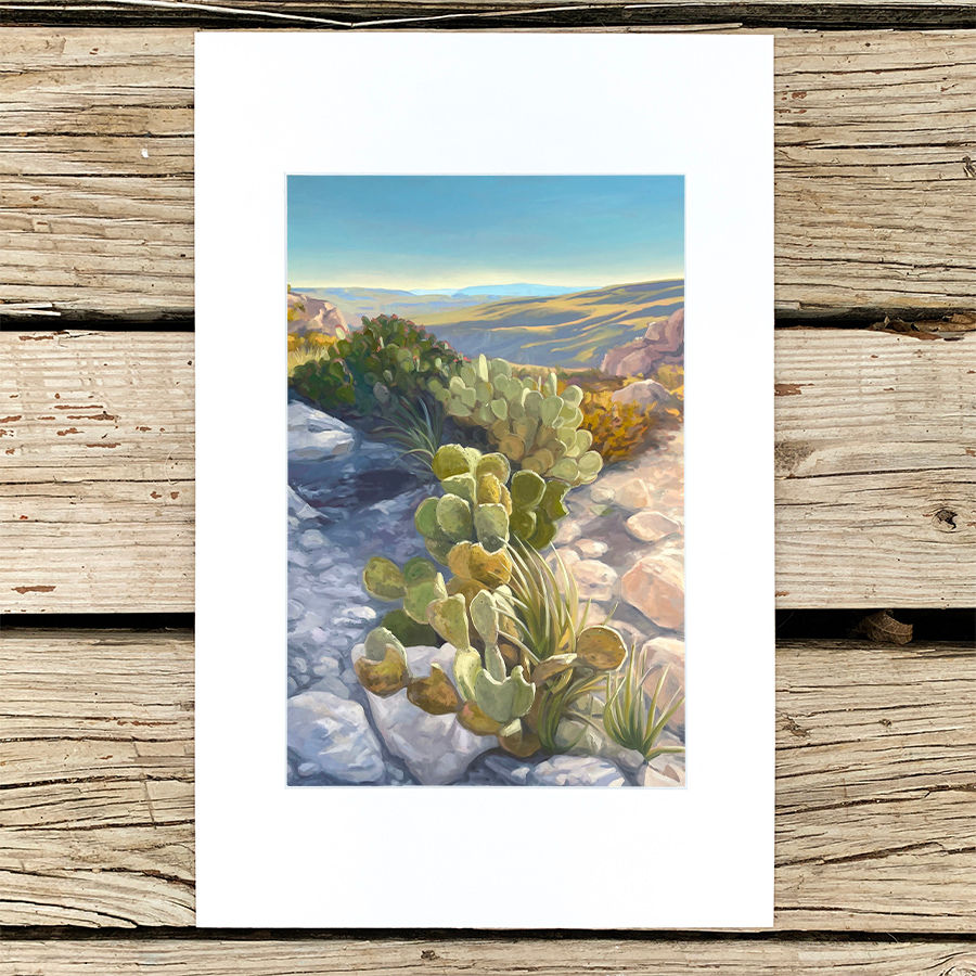Last View Limited Edition Print