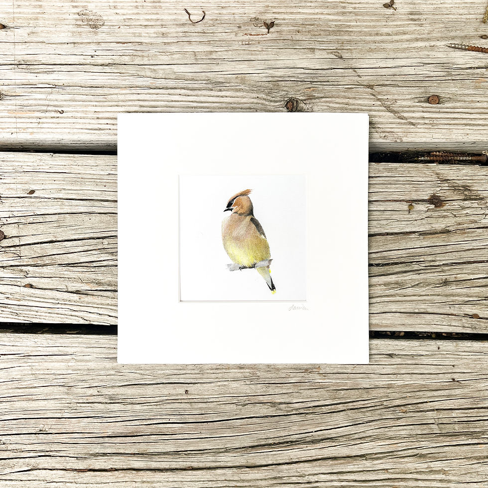 Can't Be Bothered Print