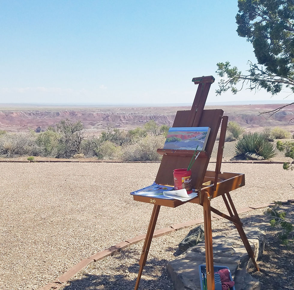 artist in residence petrified forest
