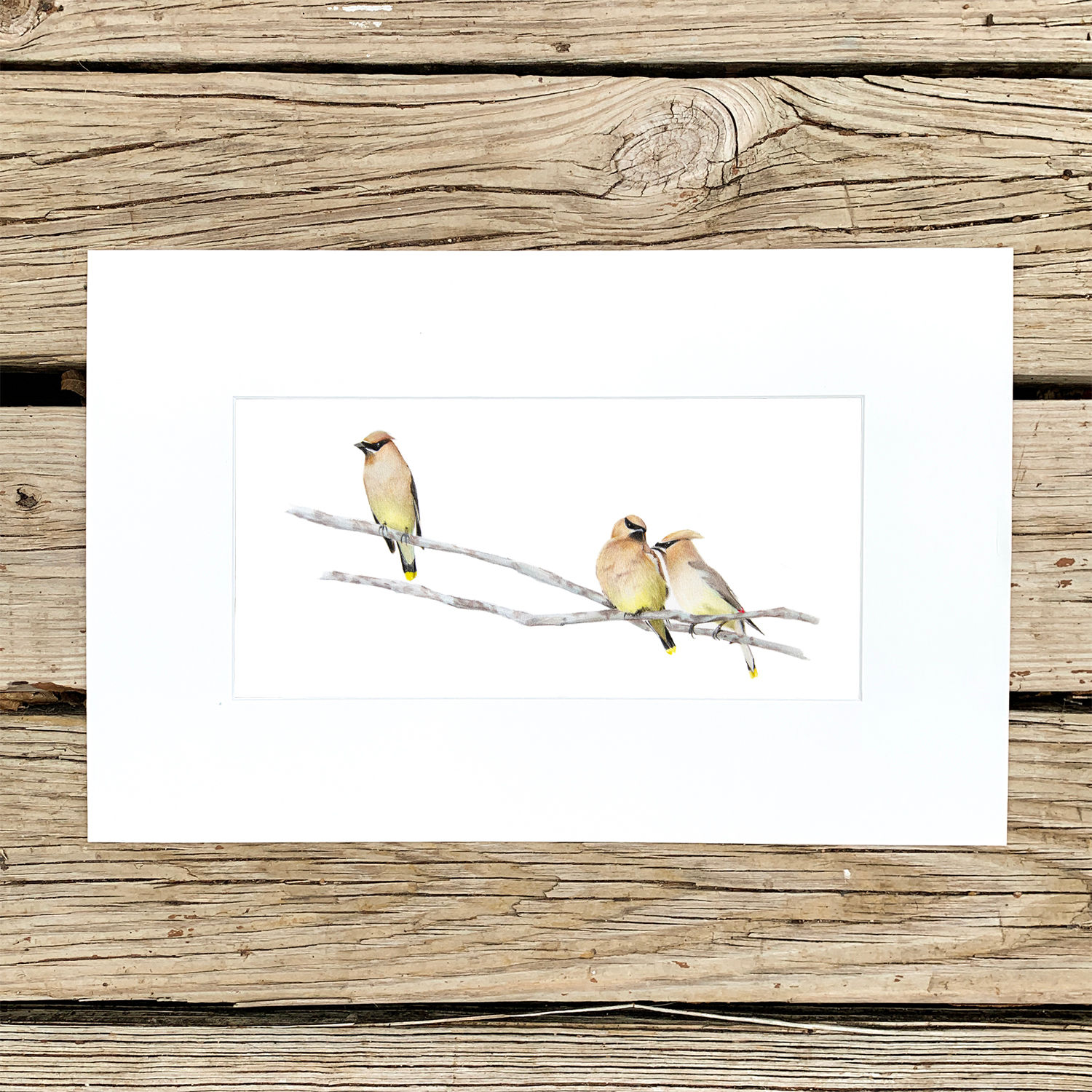 Gossip Girls Print