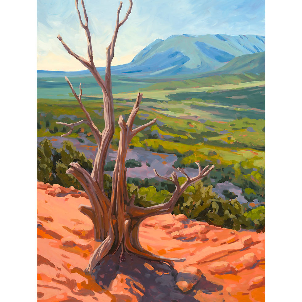Juniper Print