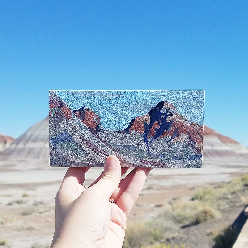 danika ostrowski artist in residence arizona