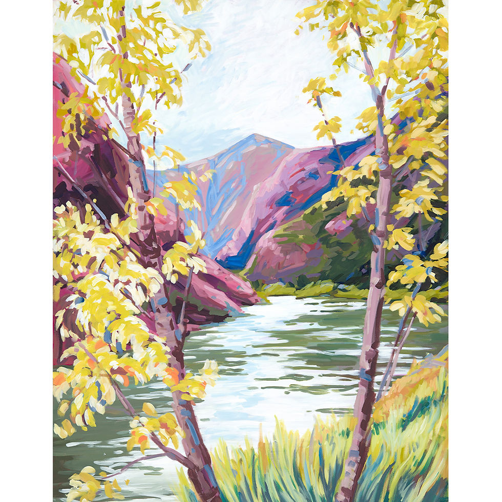 Black Canyon Print