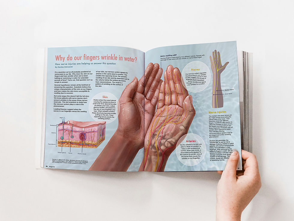 examples of scientific illustration for editorial and publishing clients