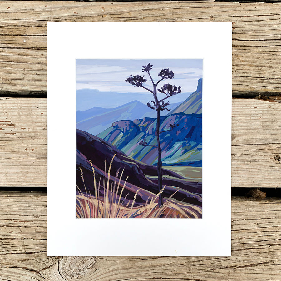 Big Bend Century Plant Print